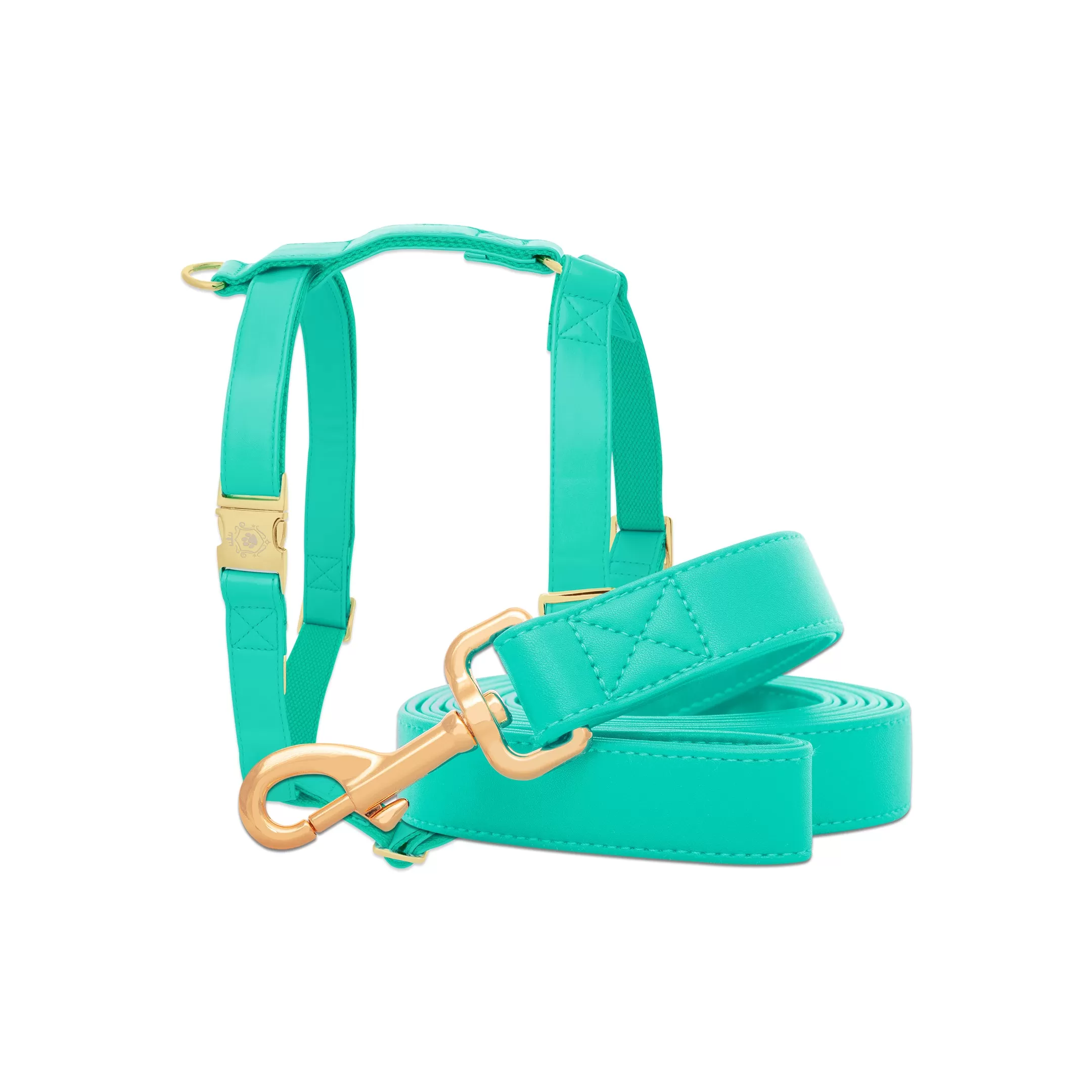 Tropical Green Leash & Harness Set